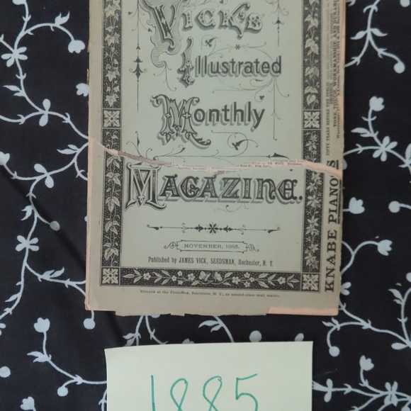 Vick's Illustrated Monthly Magazine  Lot x 33 1800s - Picture 8 of 12